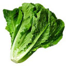 Romaine emoji