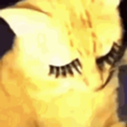 Dog Blink Long Eyelashes emoji