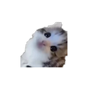 Ermtosis emoji