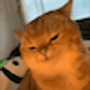 Yapapa Cat emoji