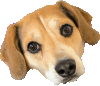Lawbert emoji