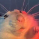 Ratdance emoji