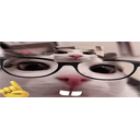 Wideplinkge emoji