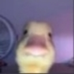 Therockyduck emoji
