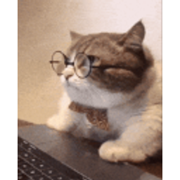 Grandpacatcomputer emoji
