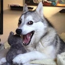 Pundog emoji