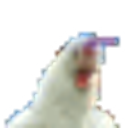 Dancing Chook emoji