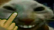 Xddfinger emoji