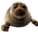 Sealbop emoji