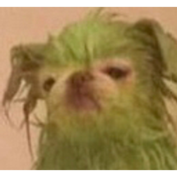 Green Dog1q emoji