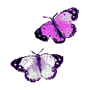 Purple Butterflies emoji