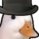 Duckhowdy emoji