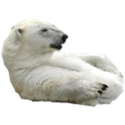 Pbear emoji