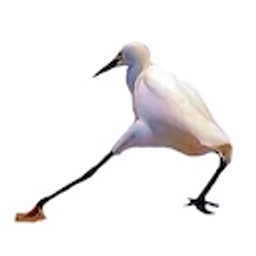 Razzle Dazzle emoji