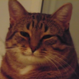Good Cat emoji