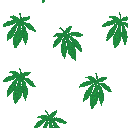 Raining Weed emoji