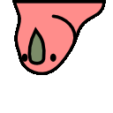 Aussie Parrot Hd emoji