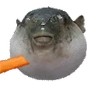 Augh emoji