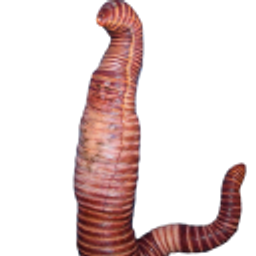 Heidiklum Worm emoji