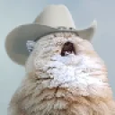 Yeehaaaaaaw emoji