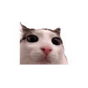 Plinktosis emoji