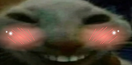 Xddflush emoji