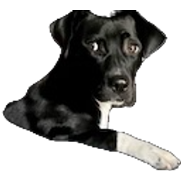 Dog Judgement emoji