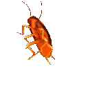 Partycockroach1q emoji