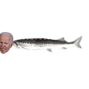 Joelbiden emoji