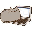 Pusheencomputer emoji