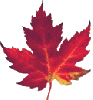 Maple Leaf emoji