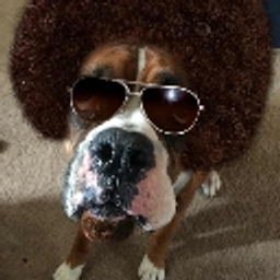 Doggoooo emoji