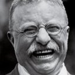 Teddy Roosevelt emoji