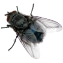 Fly Real E emoji