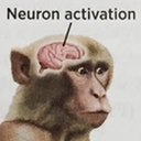 Neuronactivation emoji