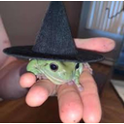 Frogwitch emoji