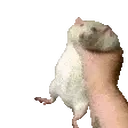 Ratshake emoji