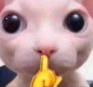 Cichutko emoji