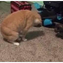 Catflip emoji