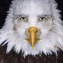 Cursedeagle emoji