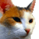 Deal With It Cat emoji