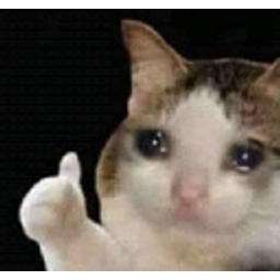 Crycatok emoji