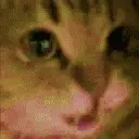Meowjamjam emoji