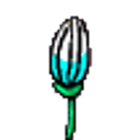 5 Flower emoji