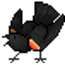 Blackbird emoji