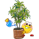 Watering Plant emoji