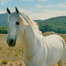 Shadowfax emoji