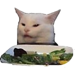 Cat Getting Yelled At By Woman emoji