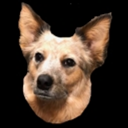 Gracie emoji