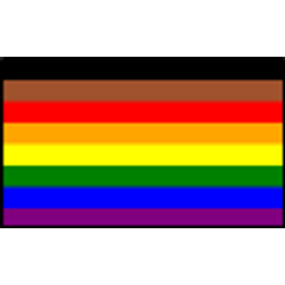 Prideflag Morecolor emoji